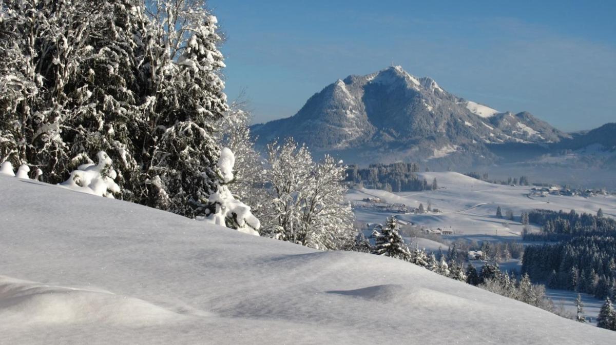 Hornblick Fewo- Ab Mai Freie Fahrt Mit Bergbahnen Appartement Oberstdorf